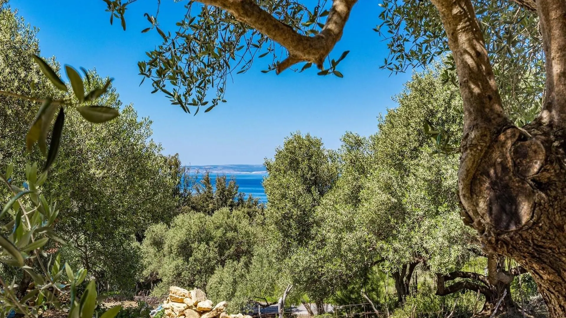 Apartment Anamar - Cozy Double Room Near The Beach Supetarska Draga